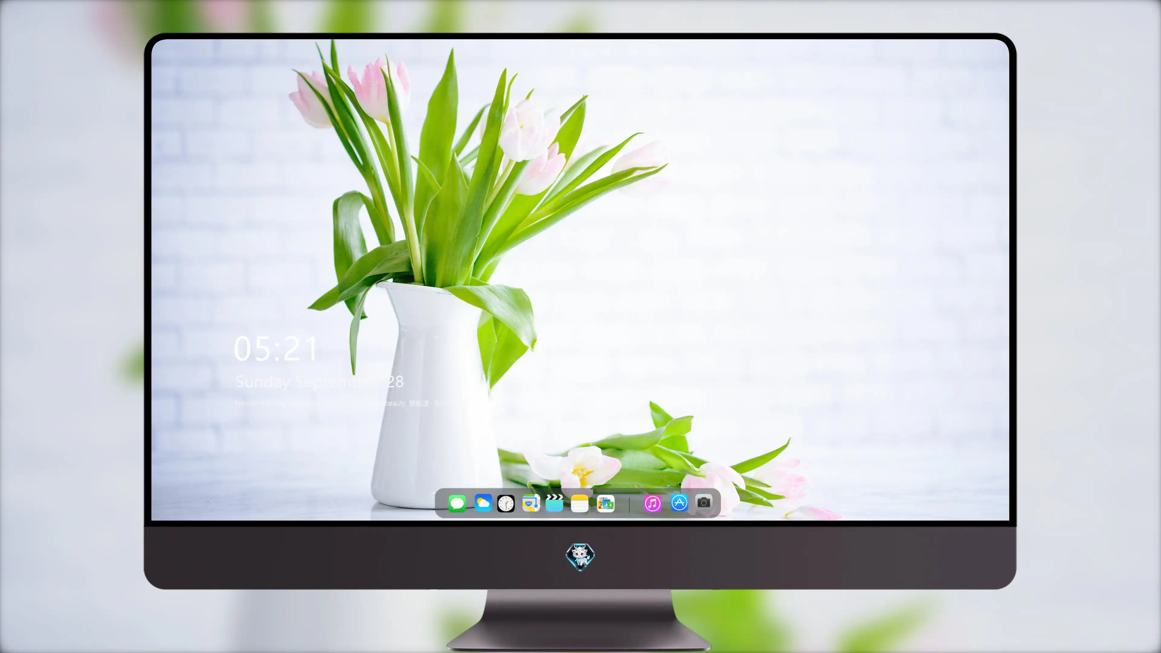4K超清晰静物特写植物高清视觉体验