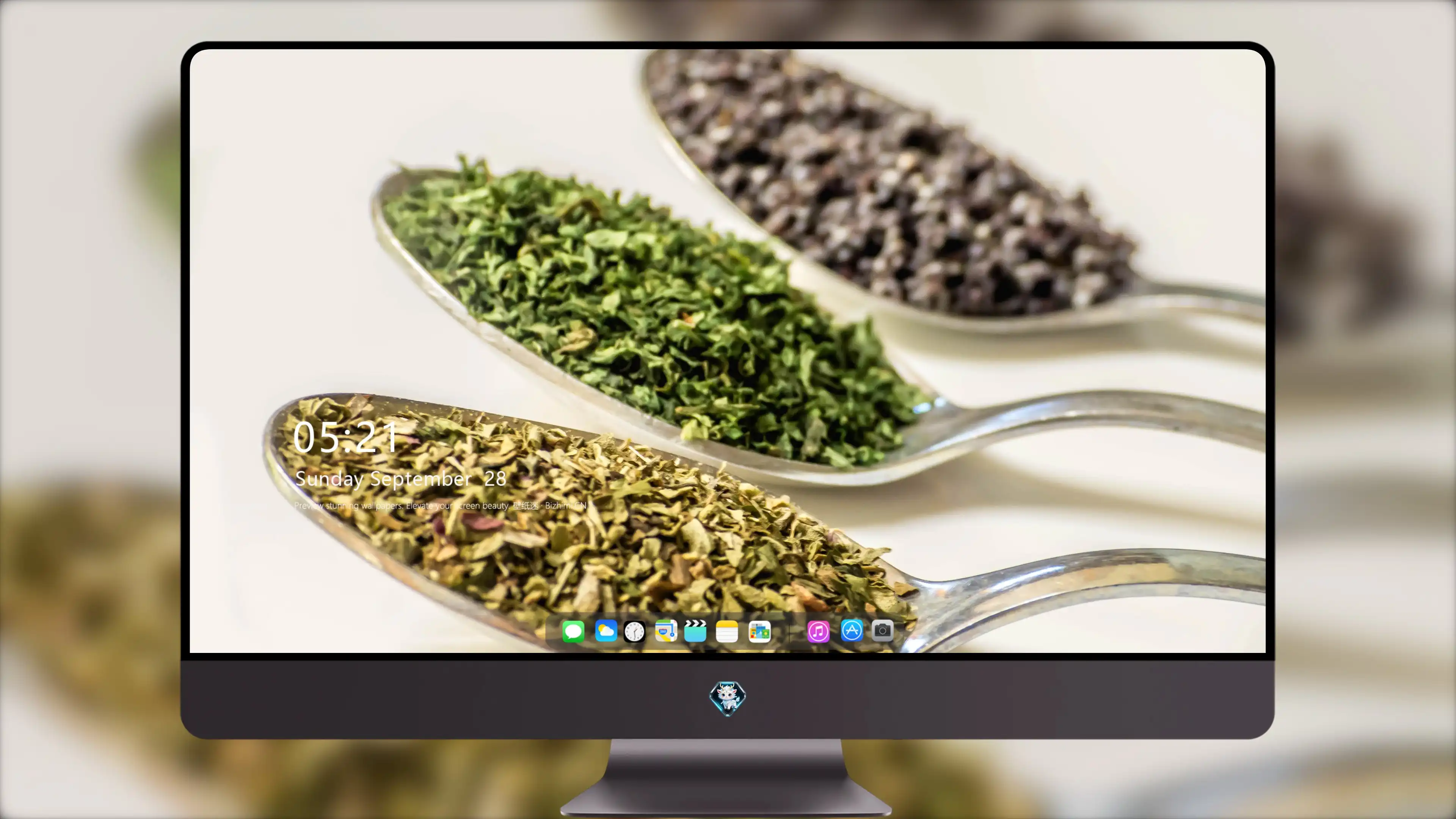 4K超清晰静物特写植物个性视觉风格