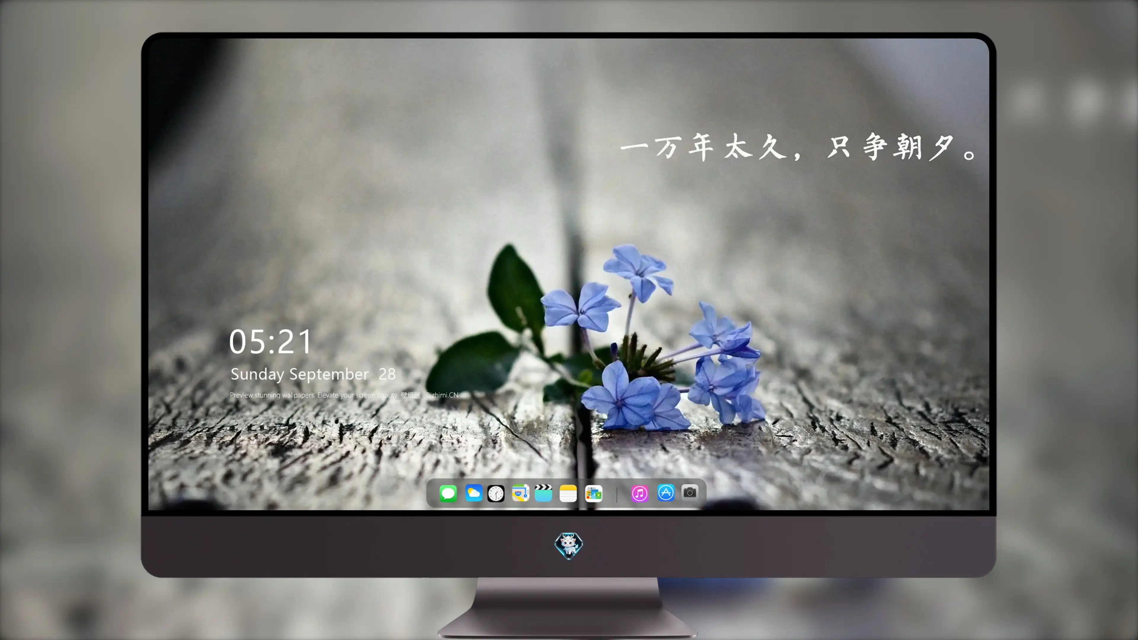 4K爱情浪漫壁纸 情侣拥抱落日余晖