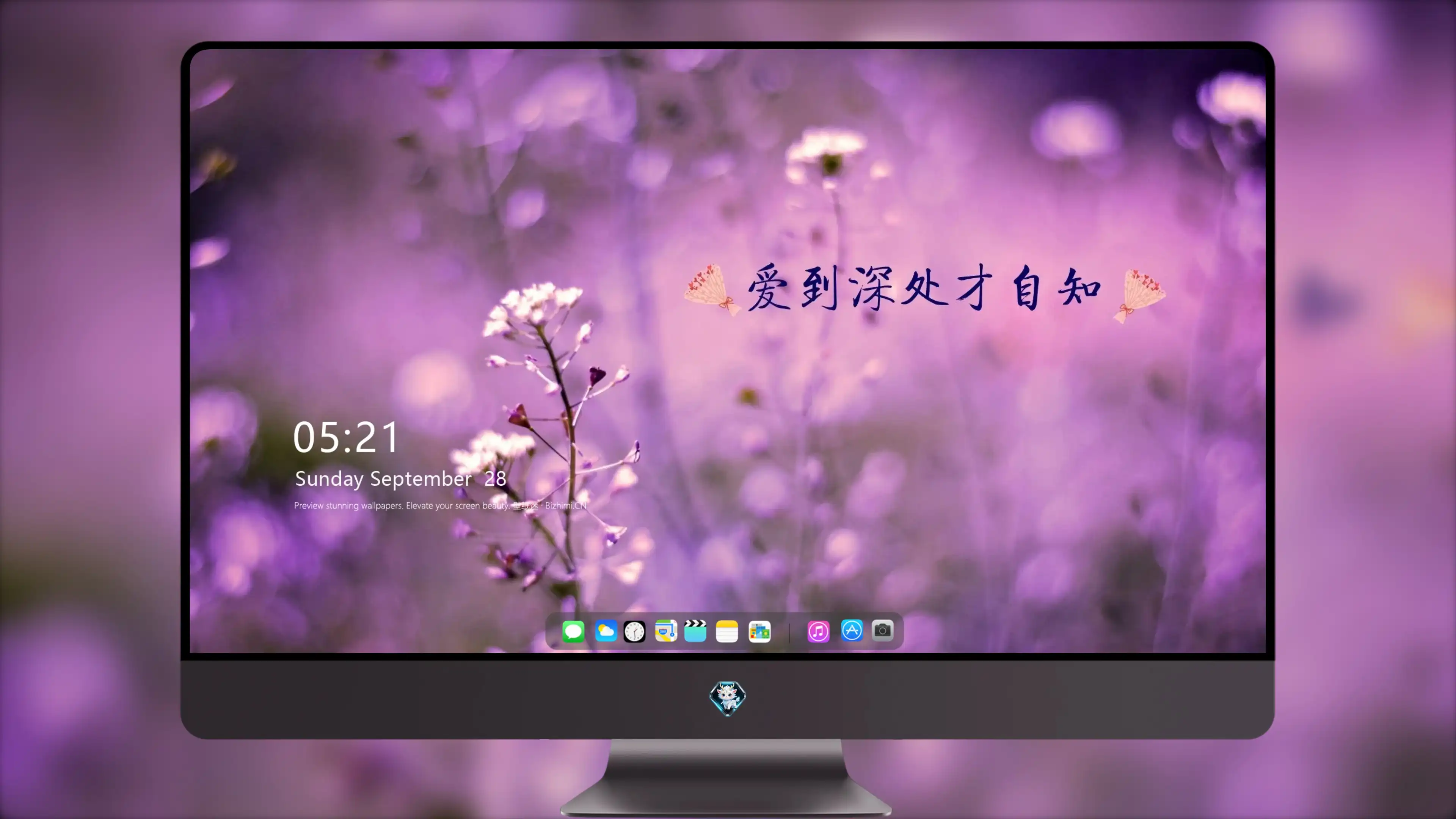 4K爱情浪漫壁纸 情侣亲吻唯美瞬间