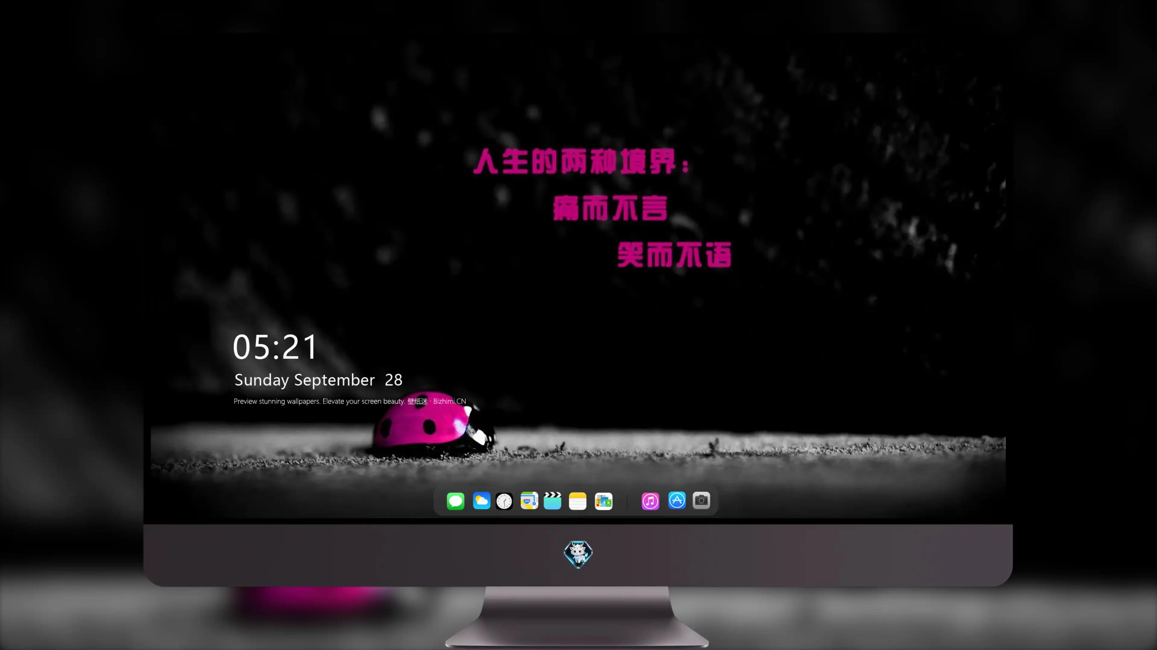 4K爱情浪漫壁纸 玫瑰鲜花甜蜜告白