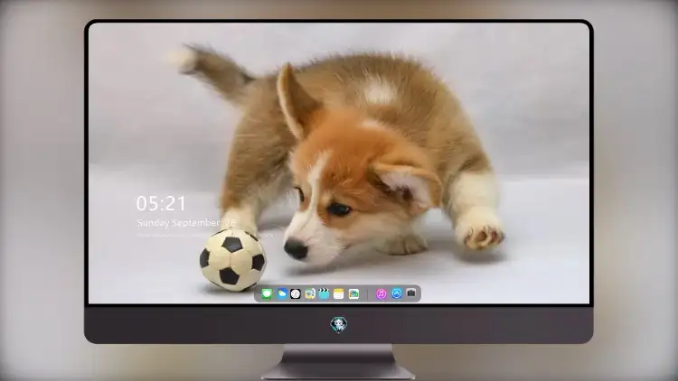 Photo by 壁纸图