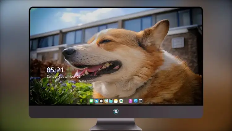 Photo by 壁纸图