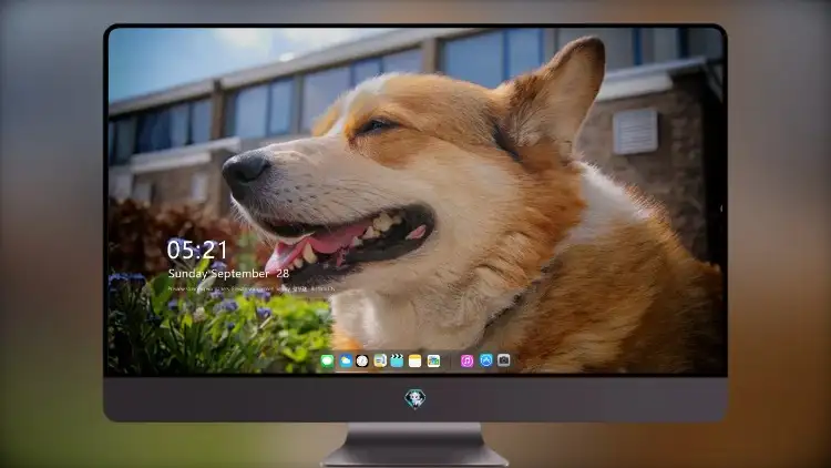 Photo by 壁纸图