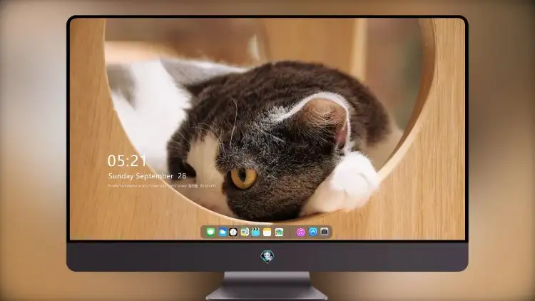Photo by 壁纸图