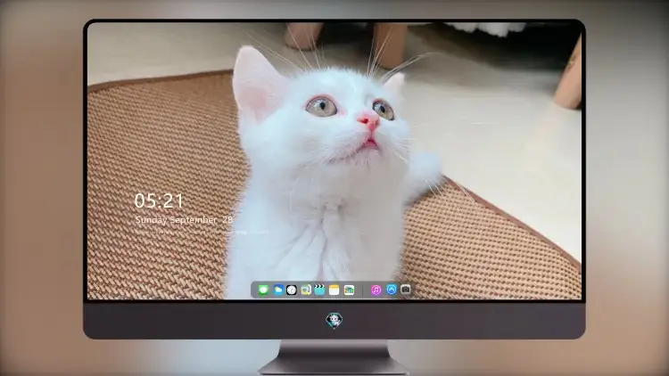 Photo by 壁纸图